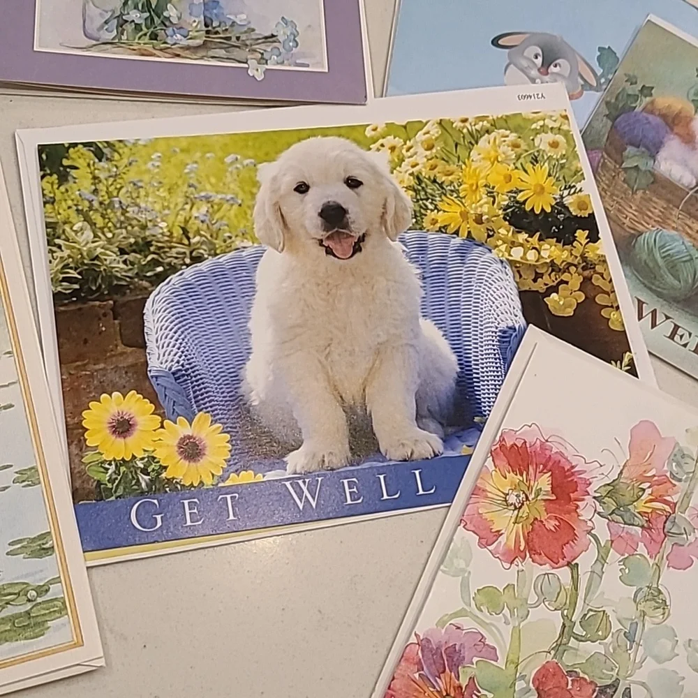 New Get Well Greeting Cards